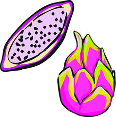 Vector ripe fruit dragon fruit hand drawn, exotic, pitahaya, half of dragon fruit