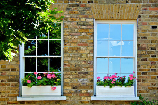 Tinted and non-tinted glass with window boxes, Camberwell, South London 
