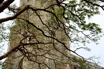 Cathedral spire in the background with a orange acacia tree in the foreground and a overcast sky.
