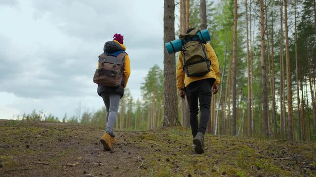 Young stylish couple of tourists walking in park map in mobile phone looking around and talking. Concept of hiking and outdoor activities. Slow motion