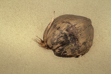 Advertising, travel, vacation and holiday concept - an old coconut washed on the beach