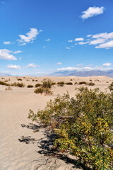 A family with a teenage girl is hiking in Mesquite Flat Sand Dunes, Death Valley National Park, California, USA during their road trip from Las Vegas to San Francisco in March 2021 amidst COVID-19
