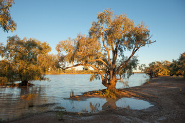 Kyabra creek  in far outback Queensland, Australia.