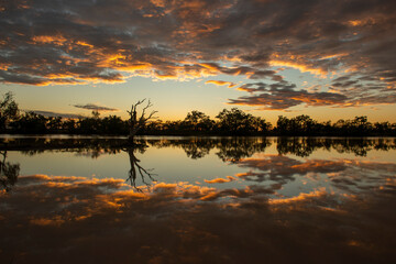 Kyabra creek  in far outback Queensland, Australia. - obrazy, fototapety, plakaty