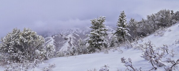 Little Black Mountain Peak hiking trail snow views winter via Bonneville Shoreline Trail, Wasatch Front Rocky Mountains, by Salt Lake City, Utah. United States.