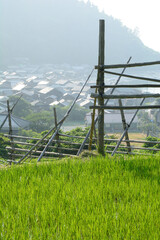 Fototapeta premium 大沢の風景