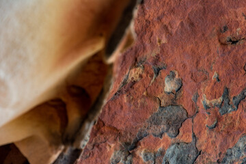 Photo 14 - Drawings caused by wind erosion on the rock - Vale do Catimbau
