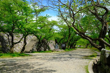 初夏の盛岡城跡の風景