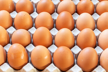 Close-up raw  chicken eggs in a cardboard box