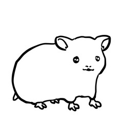 Realistic hamster line drawing illustration