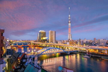Fototapeta na wymiar Downtown Tokyo city skyline cityscape of Japan
