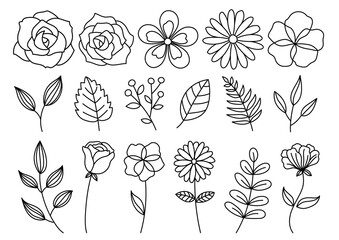 ボタニカルイラスト