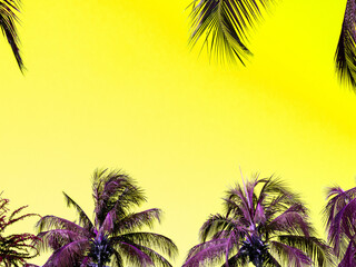 Fototapeta na wymiar Colorful summer background with vibrant tropical palm tree.