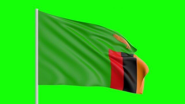 National Flag Of Zambia Waving In The Wind on Green Screen With Alpha Matte