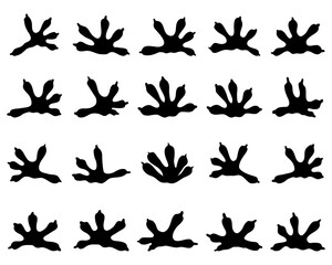 Black silhouettes of traces of lizards on a white background