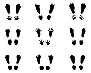 Black silhouettes of traces of rabbits on a white background - 434026574