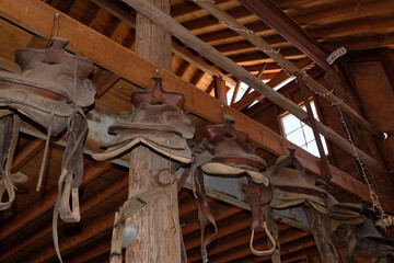 Row of horse saddles hanging from a beam in a barn