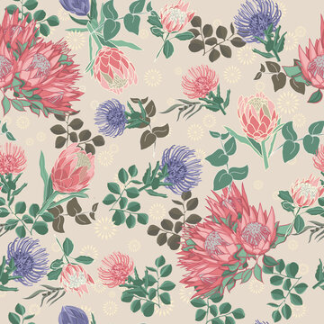 purple and pink Proteas and grevillea Australian natives seamless vector repeat pattern. Vector illustration with protea