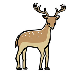 Simple and realistic deer illustration