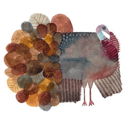 Turkey watercolor hand drawn multicolored illustration