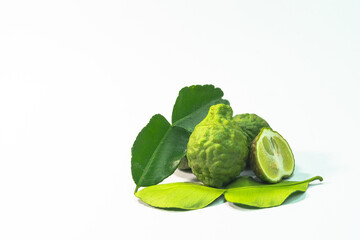 .The bergamot and kaffir lime leaves have a pungent aroma and are commonly used herbs for cooking with fishy smell..