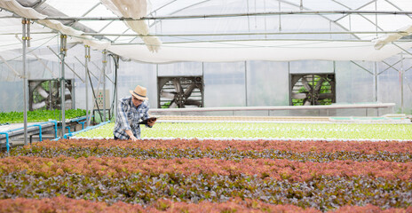 Young agriculturist record of reports on organic vegetables on farm.