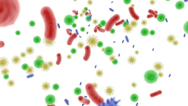 Microbiome body Healthy food Human health microbes in the human gut bacteria 4k