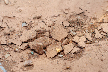 the background is a texture in the form of peeling mud with sand at the bottom