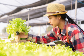 Beautiful young farmer Asian woman is checking the Organic vegetable farm in a hydroponic at morning and sunlight. Small business concept