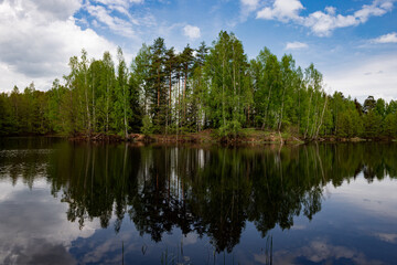 Forest lake view, smooth surface of a lake with clouds reflected, shining level of a forest lake