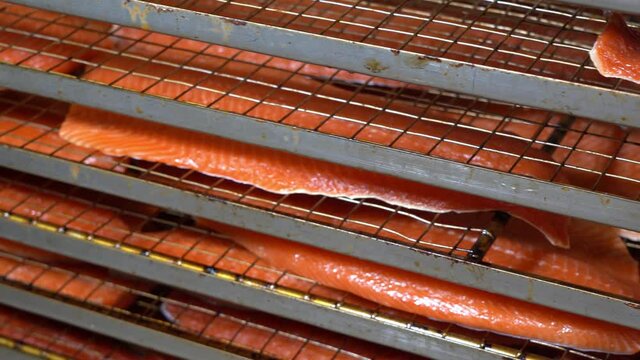 Wagon full of raw salmon filets resting after beeing smoked - Panning with focus pull