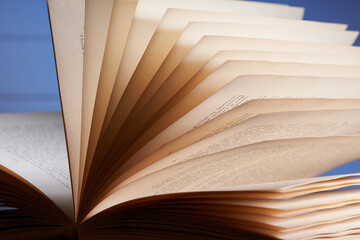 Shot of edges of pages fanned out.