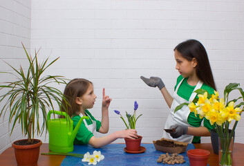 Two girls sisters with light and dark hair, dressed in green T-shirts and aprons, transplant...