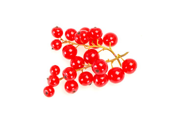 Sweet tasty fresh Red currant