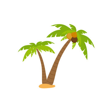 Palm tree or coconut tree cartoon image in summer On the beach Seaside tropics vector illustration.