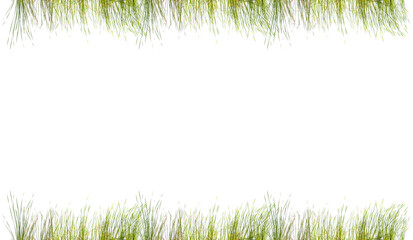 Bordure d’herbes, fond blanc 
