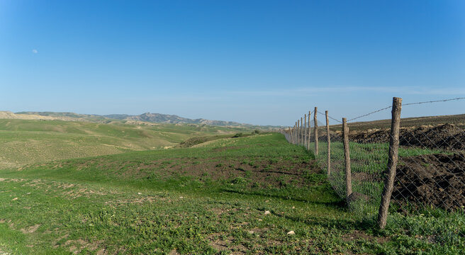 Pastoral landscape in green Kahetia fields