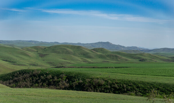 Pastoral landscape in green Kahetia fields