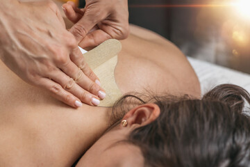 Herbal Medical Pain Relief Plaster, Traditional Chinese Medicine