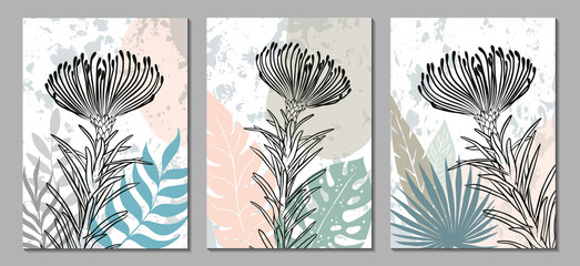 Fototapeta na wymiar A set of modern universal botanical illustrations. Abstract design. Vector illustration.