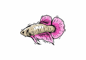 Pink color of cupang fish illustration
