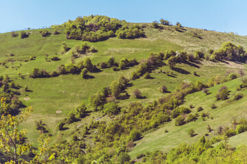 Beautiful Summer Mountain Landscape with Green Meadows and Hills  .Babintsi Village in Teteven,Bulgaria 