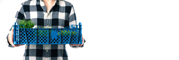 A woman in a shirt in a cage holds a box with microgreens in her hands on a white background with space for text. Microgreen delivery, healthy organic food