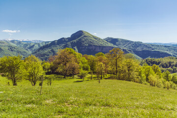 Fototapeta premium Beautiful Summer Mountain Landscape with Green Meadows with Trees and Hills .Babintsi Village in Teteven,Bulgaria 