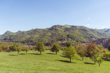 Beautiful Summer Mountain Landscape with Green Meadows with Trees and Hills  .Babintsi Village in Teteven,Bulgaria 