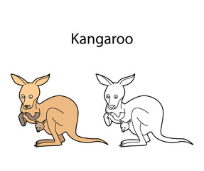 Funny cute animal kangaroo isolated on white background. Linear, contour, black and white and colored version. Illustration can be used for coloring book and pictures for children