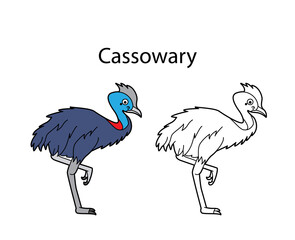 Funny cute bird cassowary isolated on white background. Linear, contour, black and white and colored version. Illustration can be used for coloring book and pictures for children