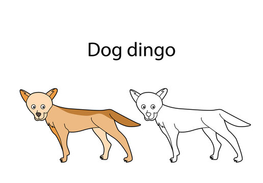 Funny cute animal dog dingo isolated on white background. Linear, contour, black and white and colored version. Illustration can be used for coloring book and pictures for children