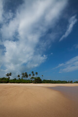Sri Lanka, Beautiful view of the tropical beach