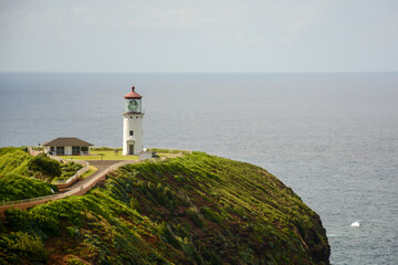 Fototapeta na wymiar lighthouse on a green coastline